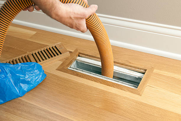 Best Professional Duct Cleaning Services  in Wailuku, HI