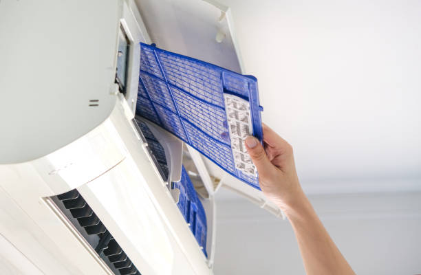 Best HVAC System Cleaning  in Wailuku, HI