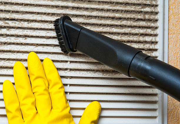 Air Duct Mold Removal in HI